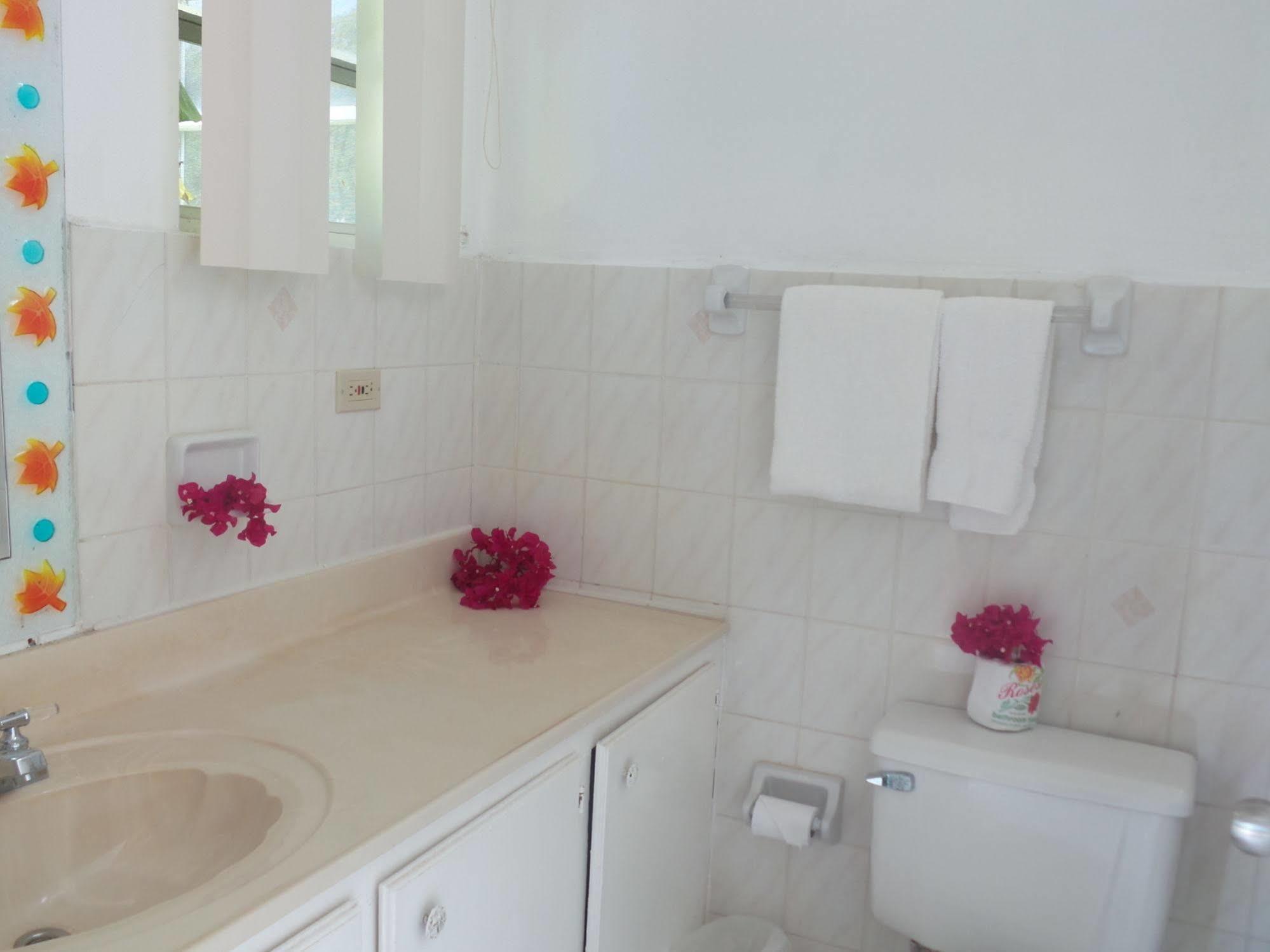 Anchorage Inn Dickenson Bay Εξωτερικό φωτογραφία